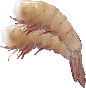 White Farm Mexican Shrimp
